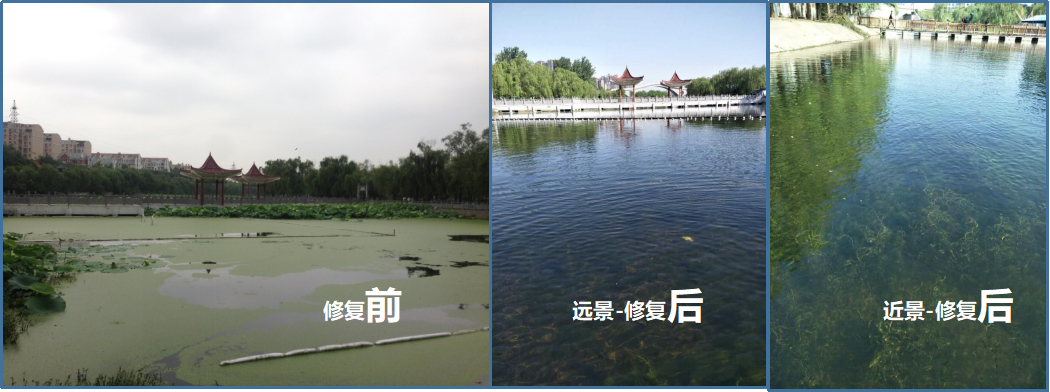 170720905.jpg 微信图片_20210630170552.jpg