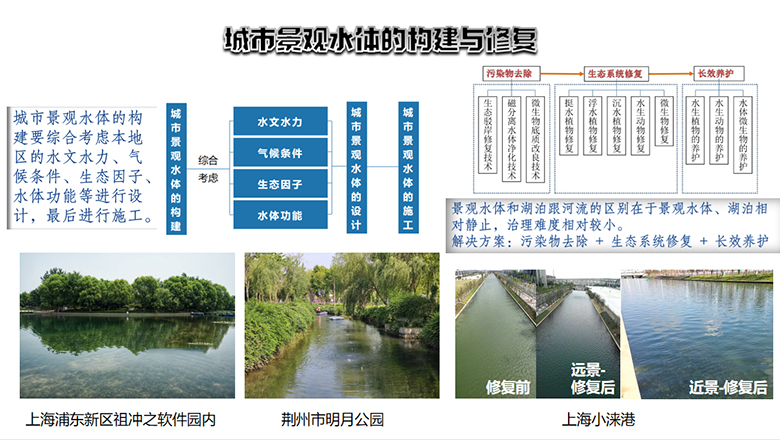 113537134.jpg 01.jpg